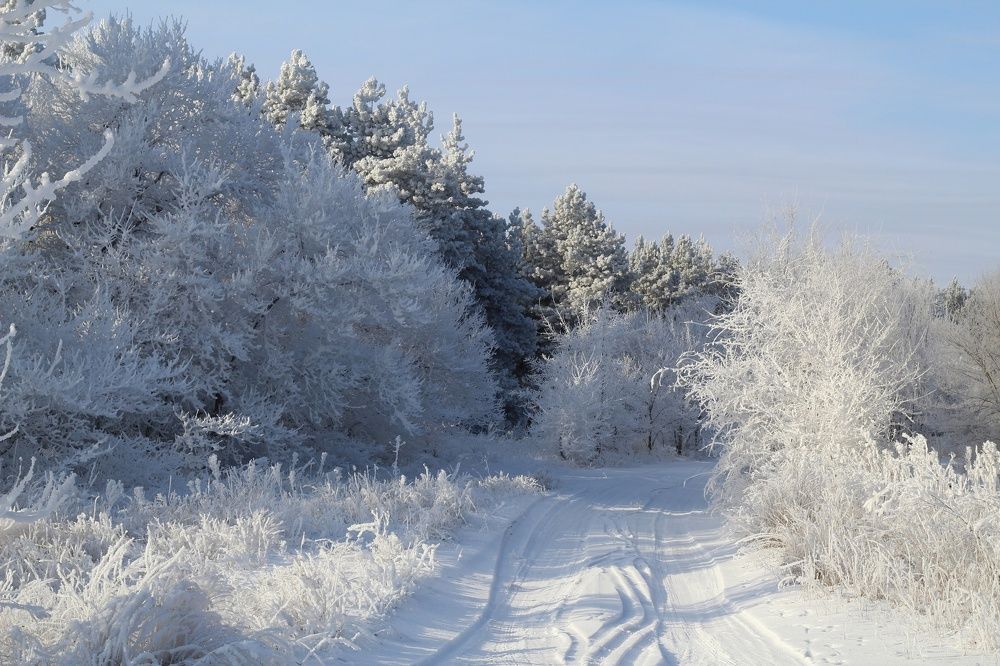 Photograph by Анна Зайченко