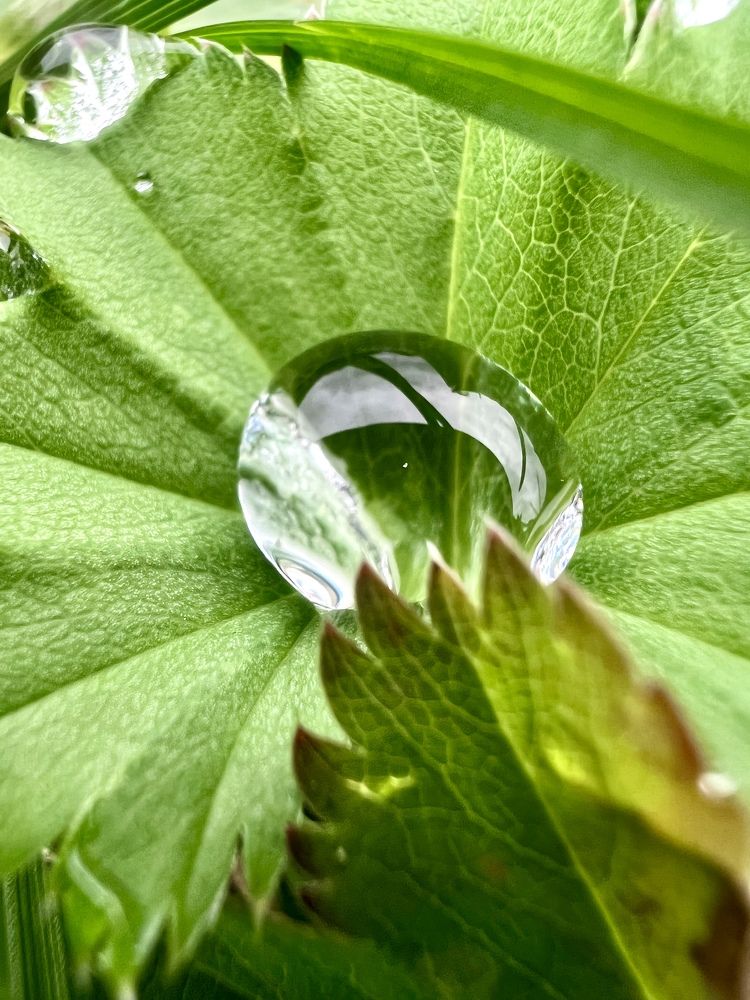 Photograph by Александра Акси