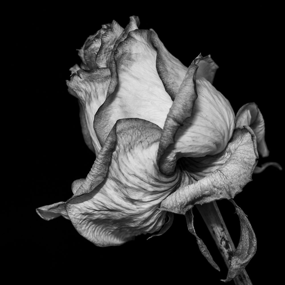 After All, Life is Beautiful...