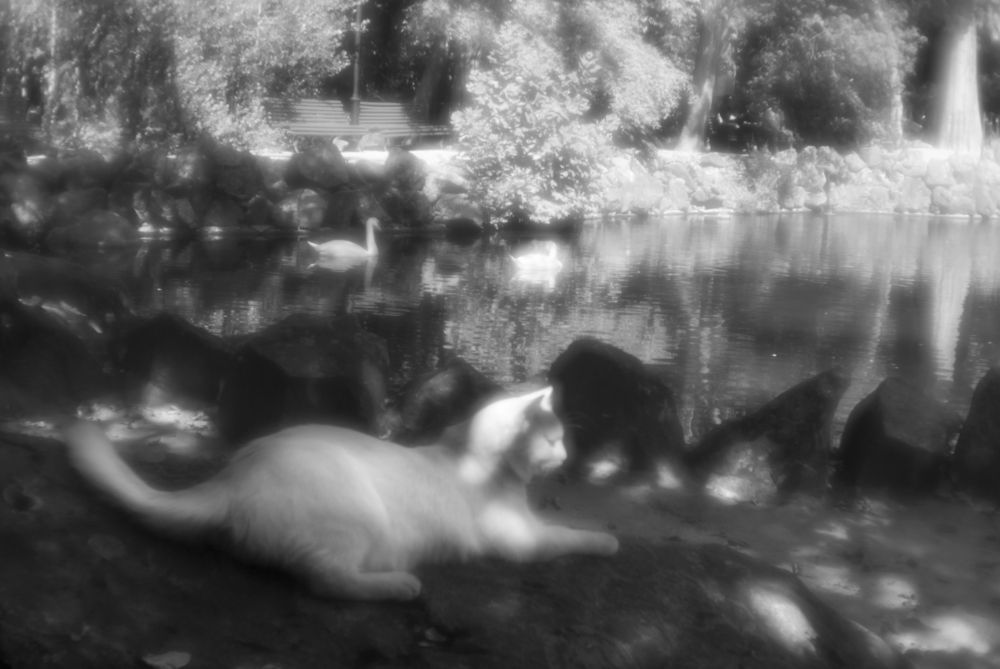 Photograph by Виктор Черкасов