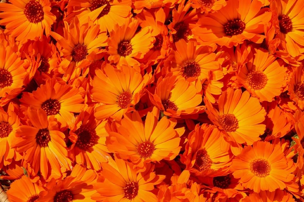 Photograph by Анна Зайченко