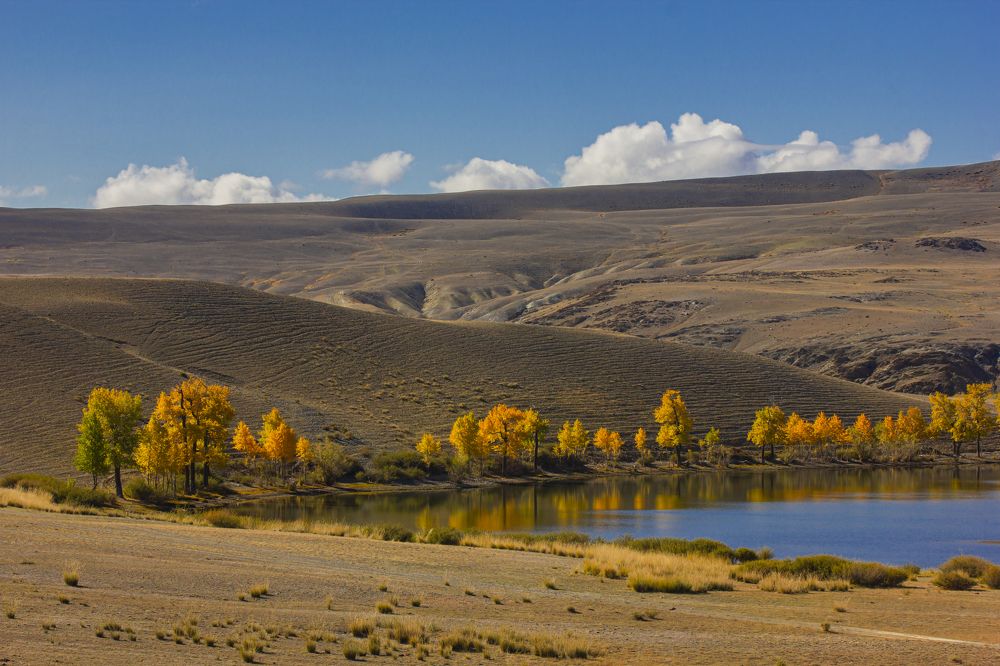 Photograph by Елена Павлова