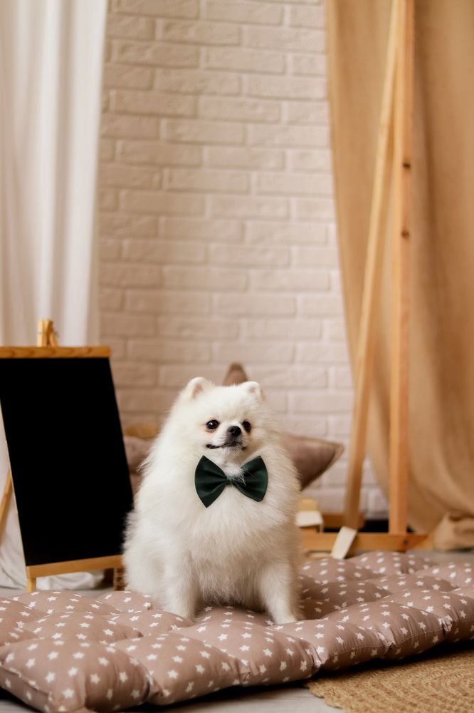 Photograph by Сергей Витвицкий