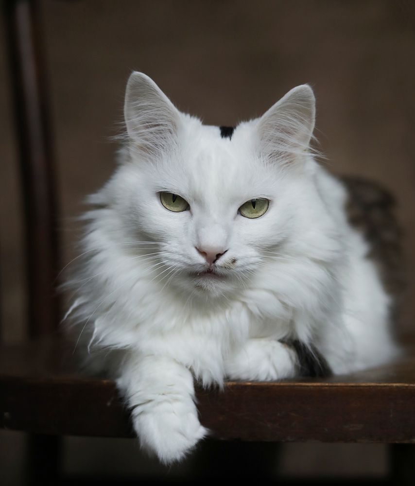 Photograph by Татьяна Скворцова