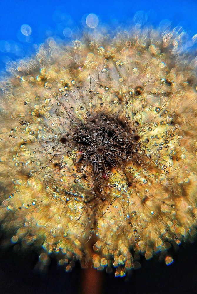 Photograph by Ольга Веселова