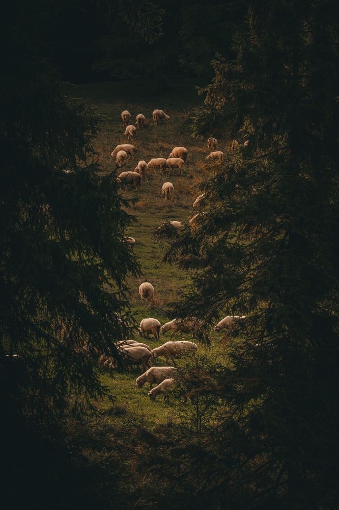 Photograph by Samira