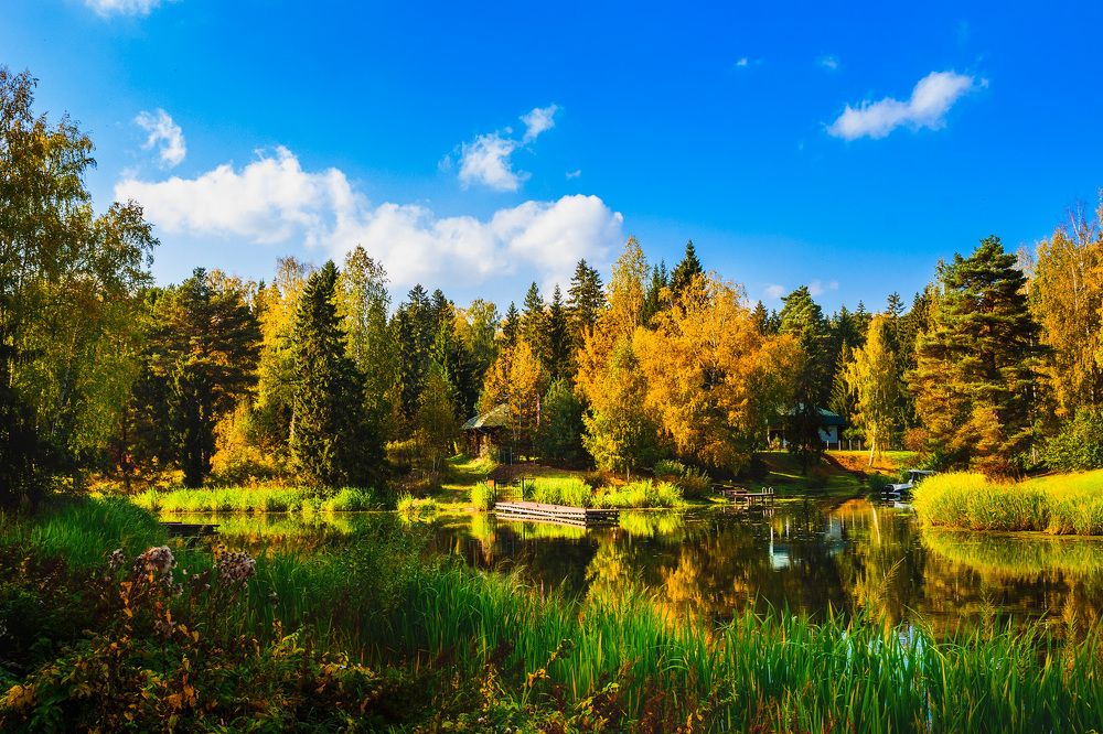 Photograph by Дементьев Владимир