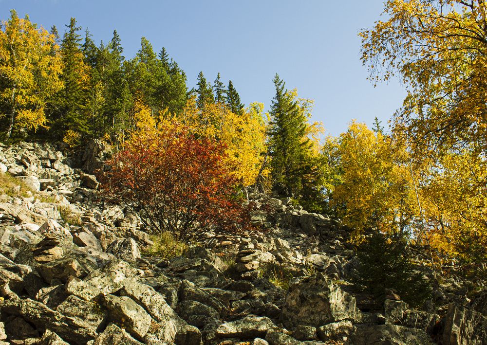 Photograph by Ирина Попел