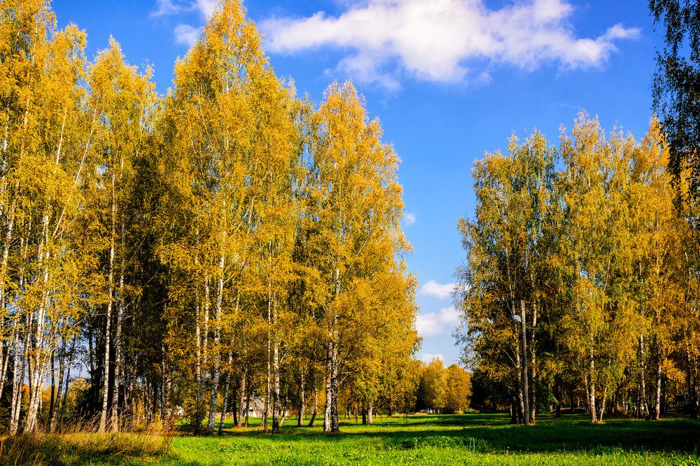 Photograph by Дементьев Владимир