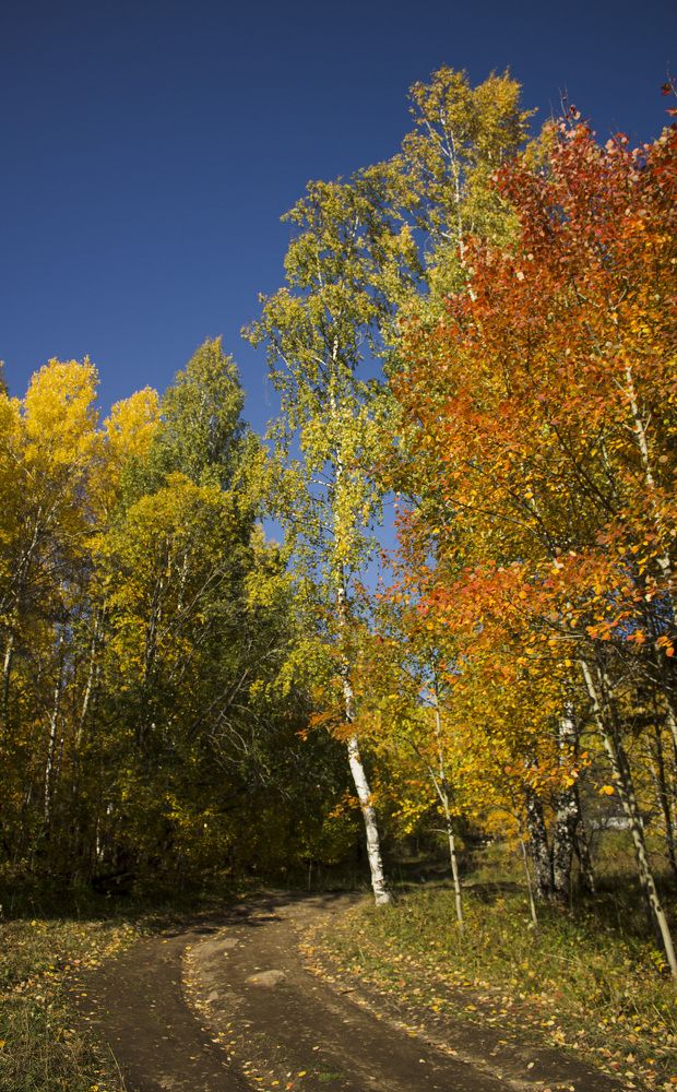 Photograph by Ирина Попел