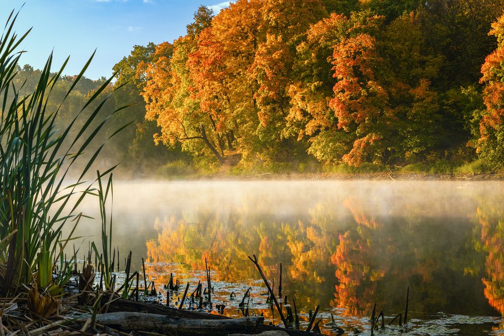 Рассвет на озере