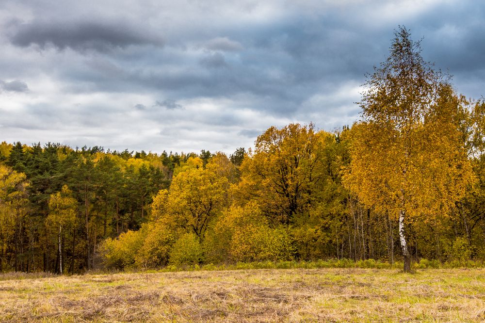 Photograph by Михаил