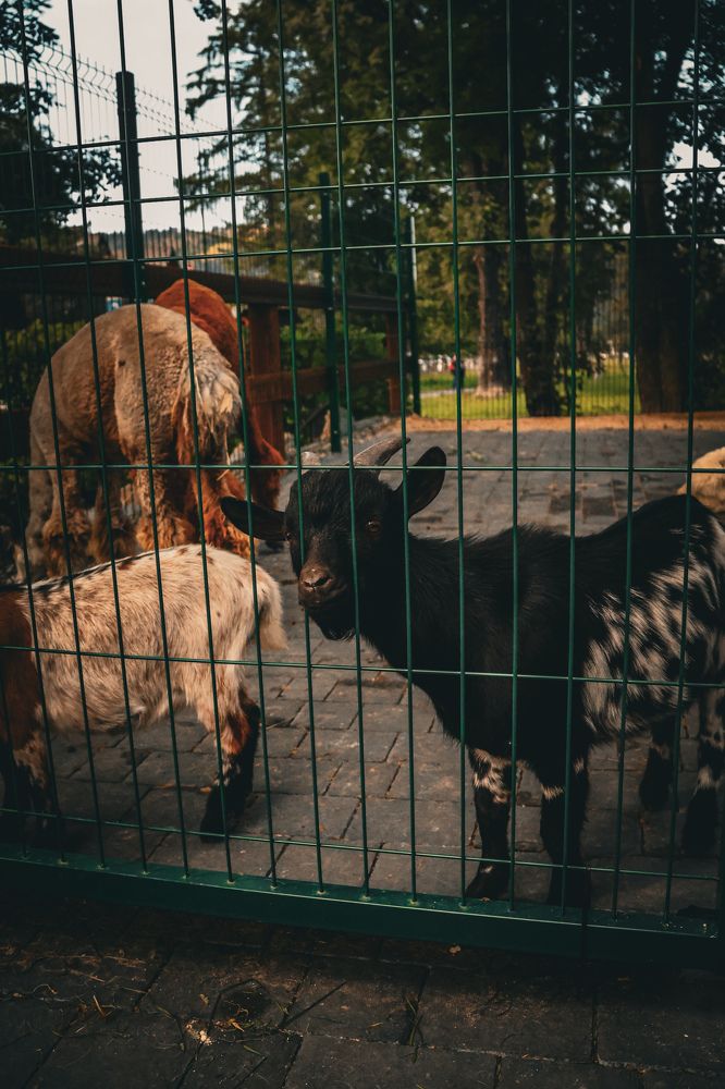 Photograph by Samira