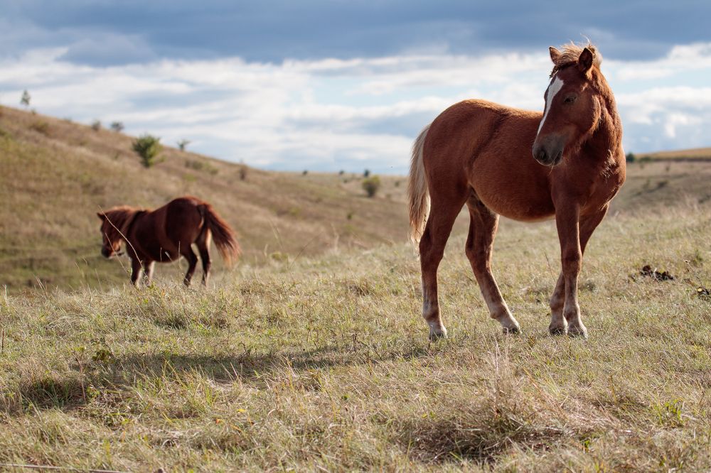 Photograph by Сергей Логвин