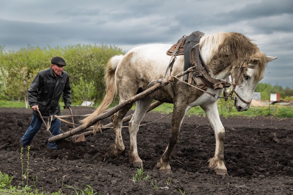 Photograph by Сергей Логвин