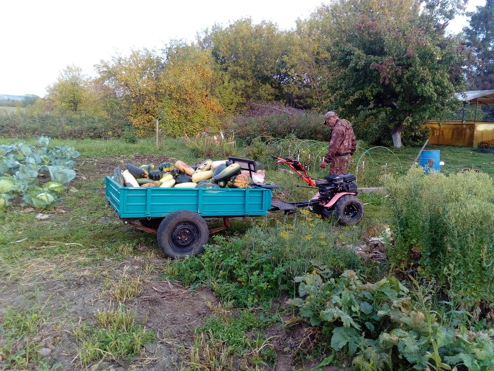 Photograph by Глеб Кузьминых