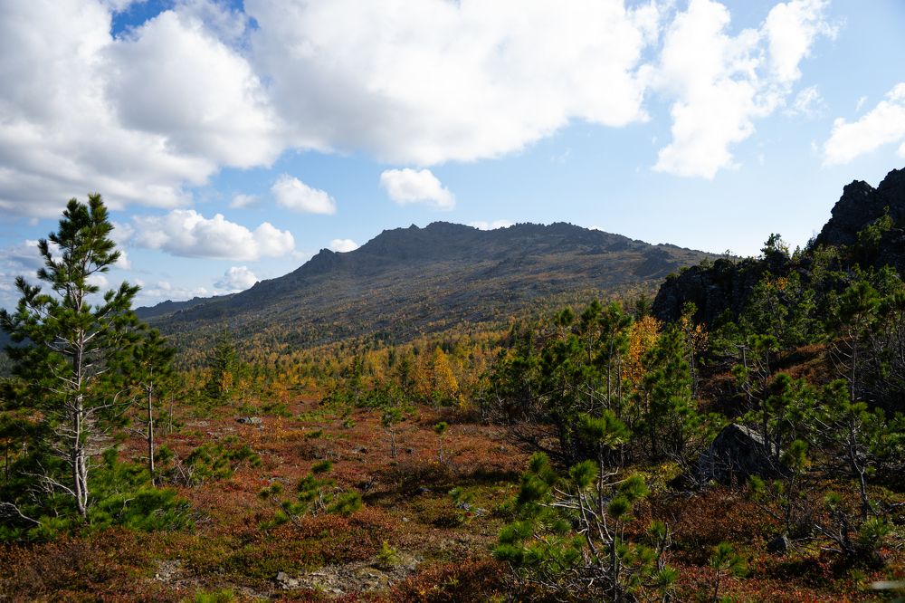 Photograph by Даниил Свиридов