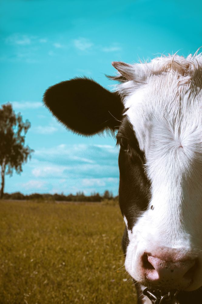 Photograph by Евгений Белов