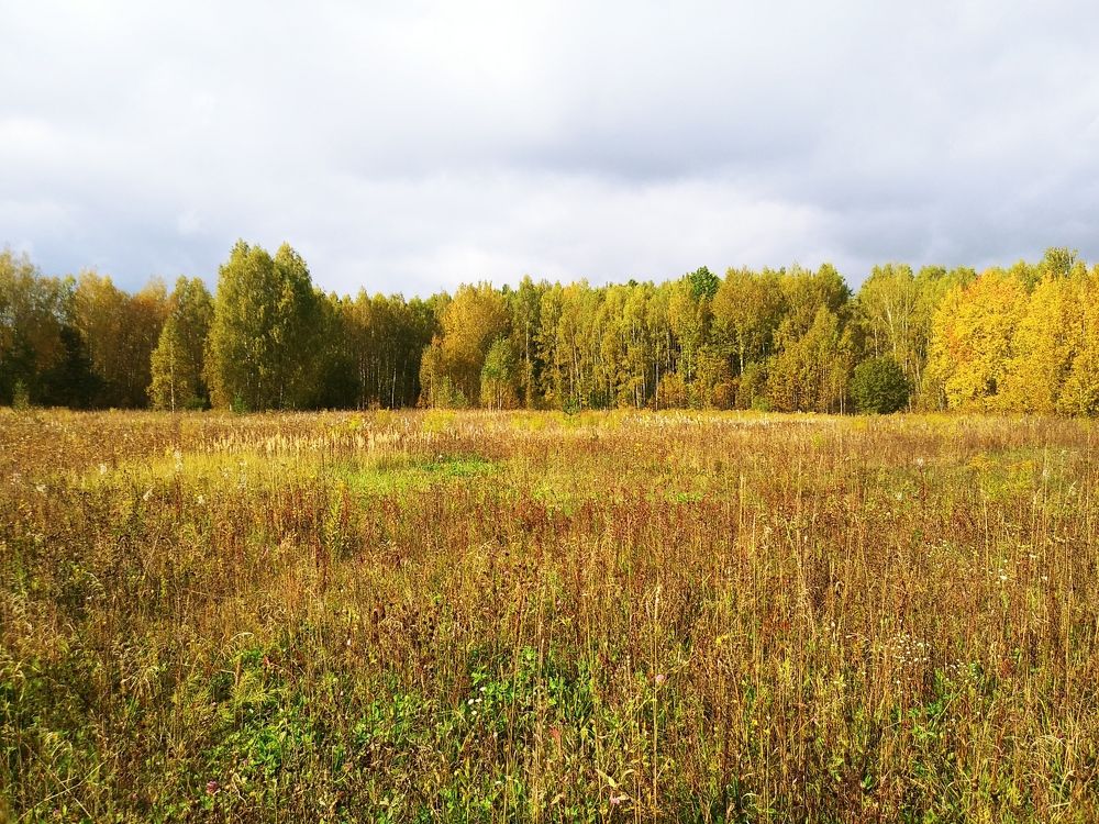 Photograph by Инна Голубева