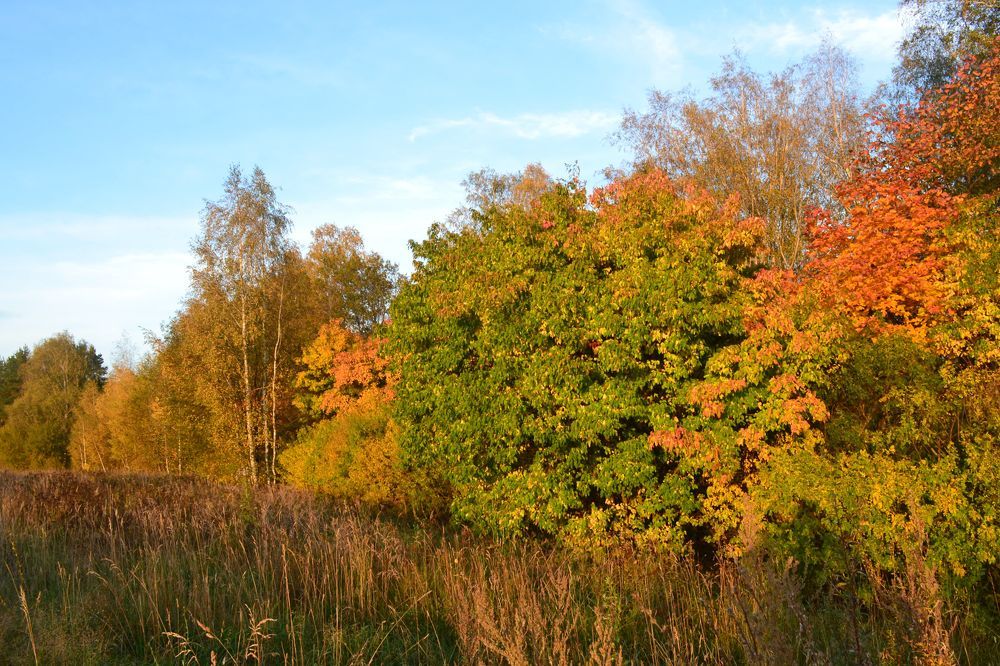 Photograph by Юрий Яценик