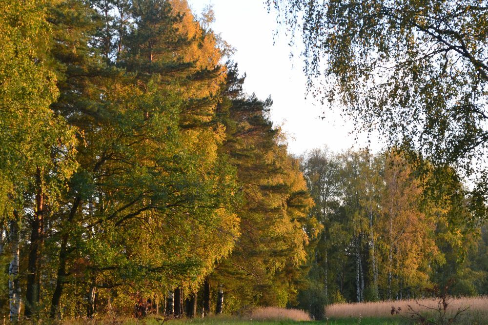 Photograph by Юрий Яценик