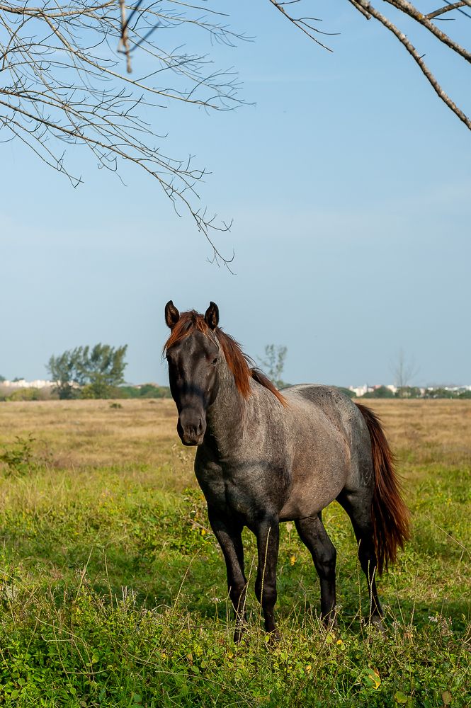 Photograph by Armando López-Guerrero