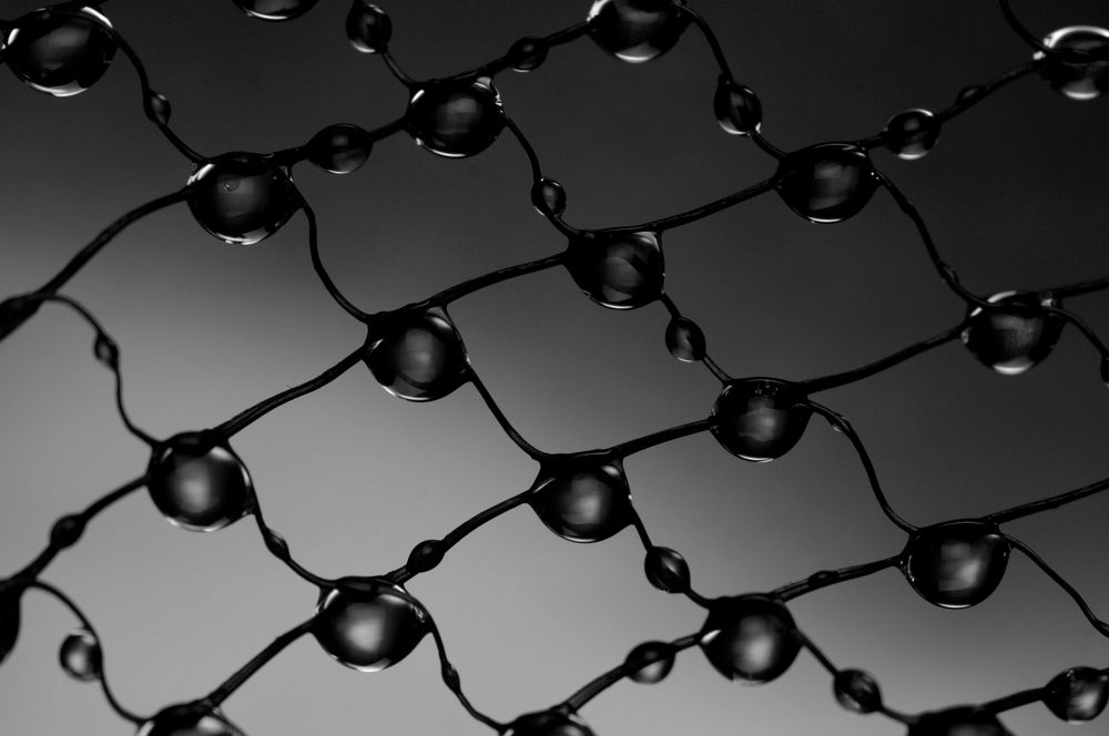 Капли на сетке