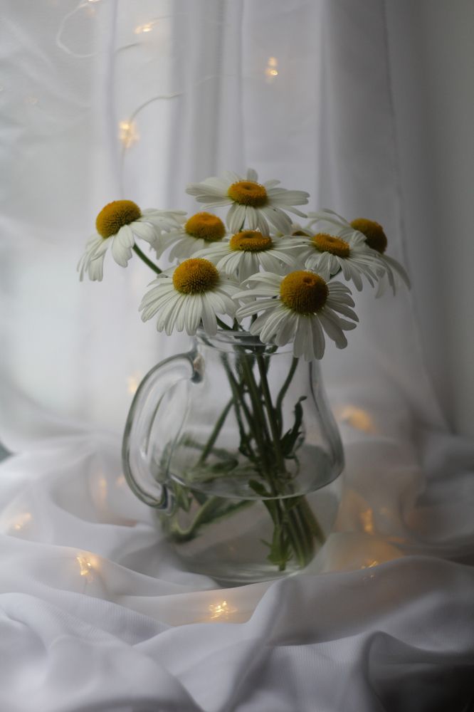 Photograph by Анна Зайченко