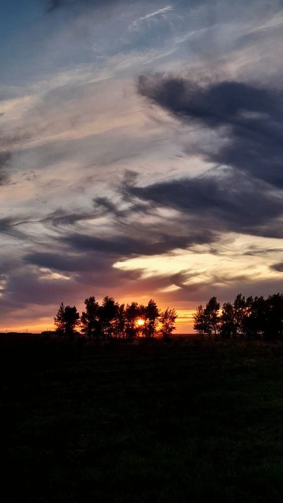 Фотография автора Анна Морозова