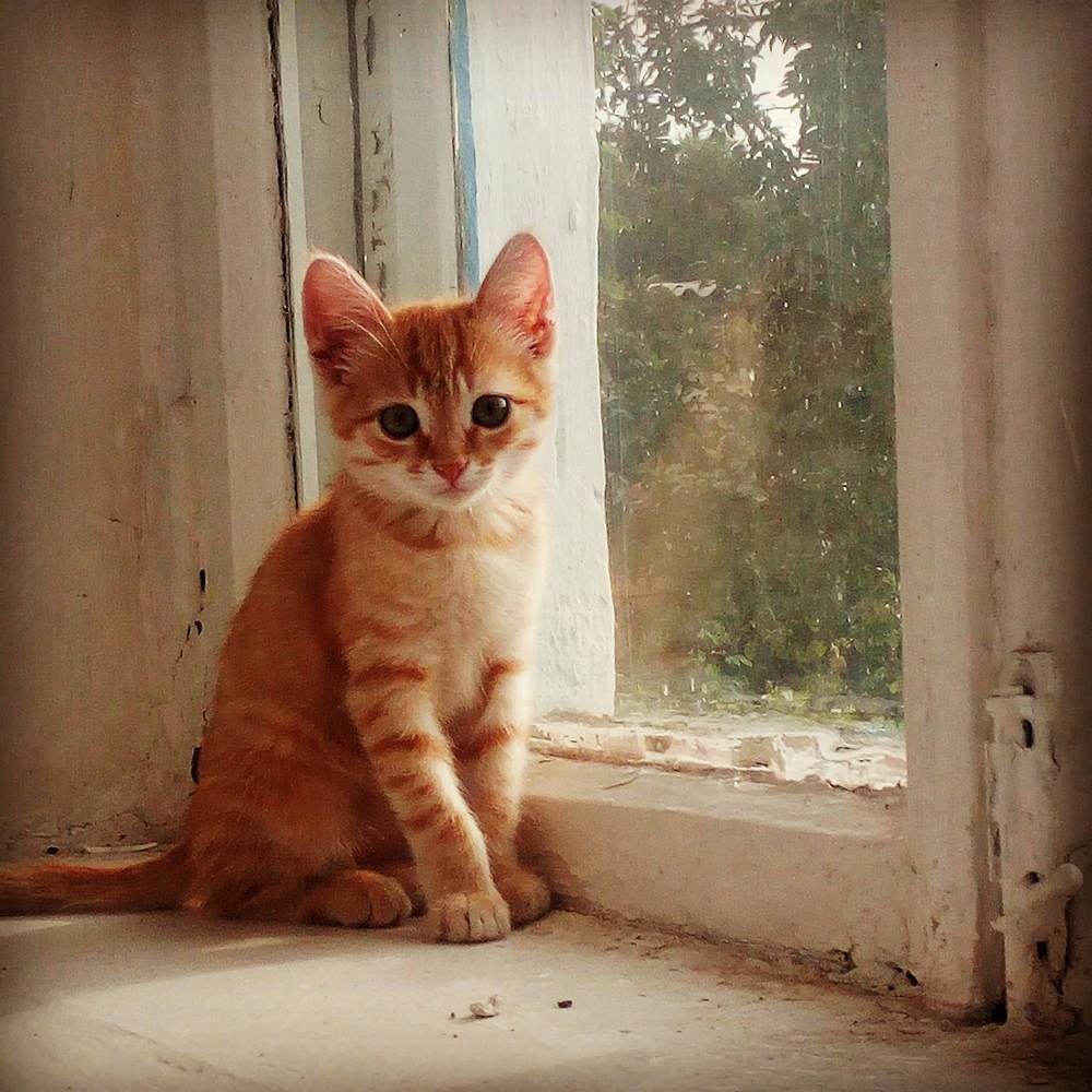 Photograph by Оксана Мельникова