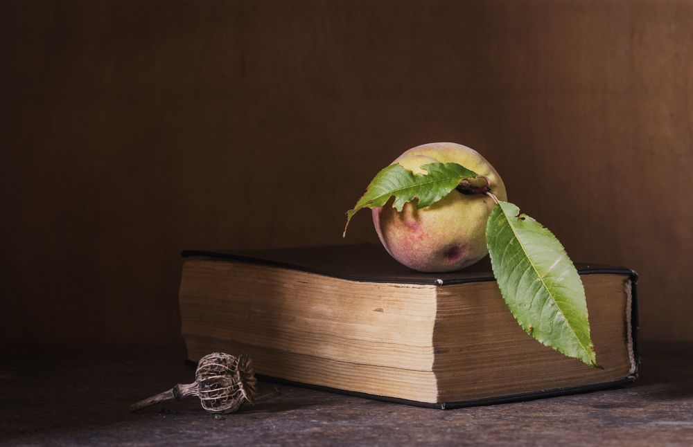 Фотография автора Uljana Kuchar