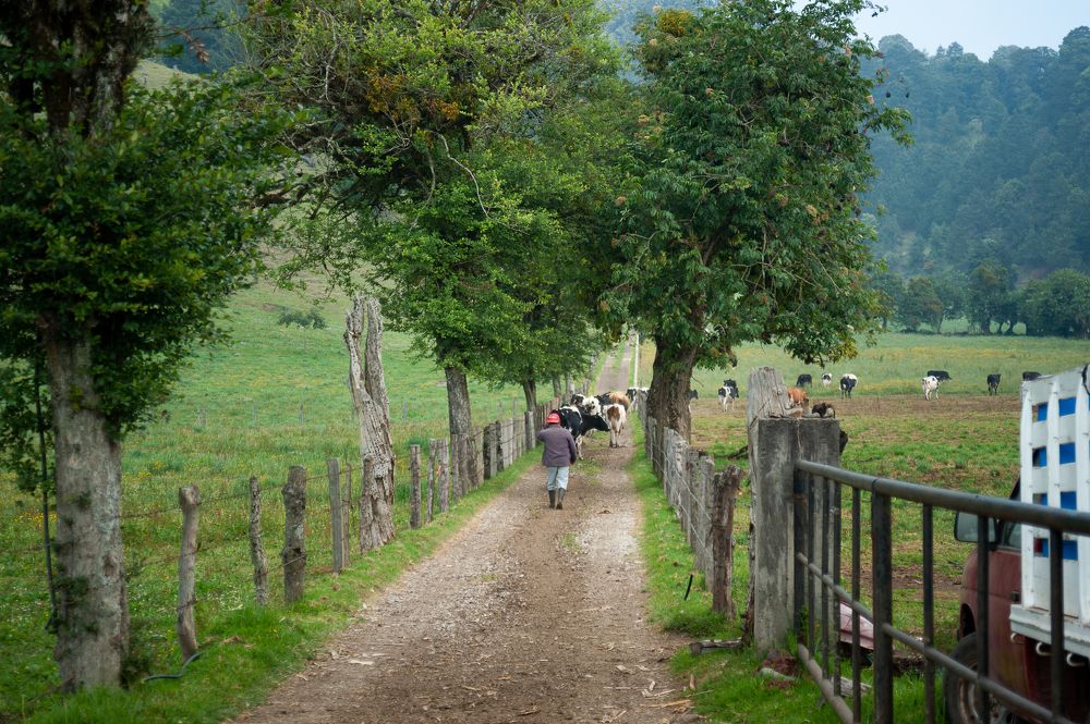 Photograph by Armando López-Guerrero