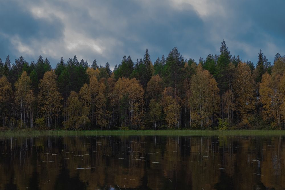 Photograph by Николай