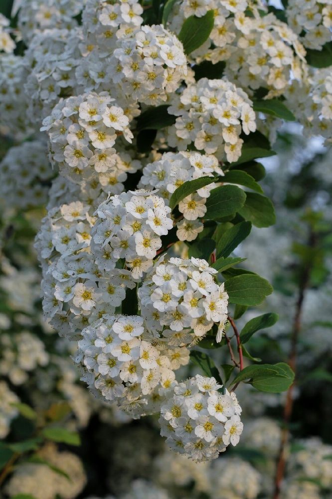 Photograph by Анна Зайченко