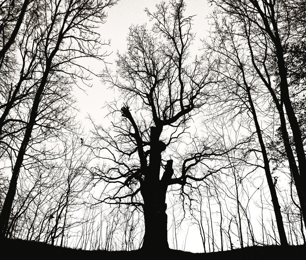 Photograph by Juris Buklovskis