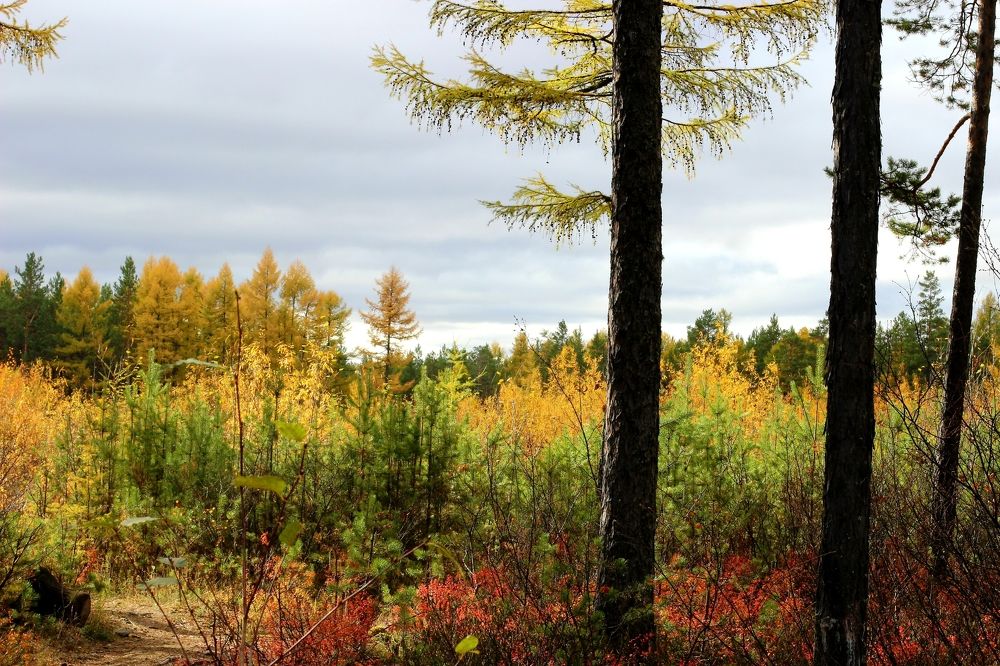 Photograph by Olga Александрова