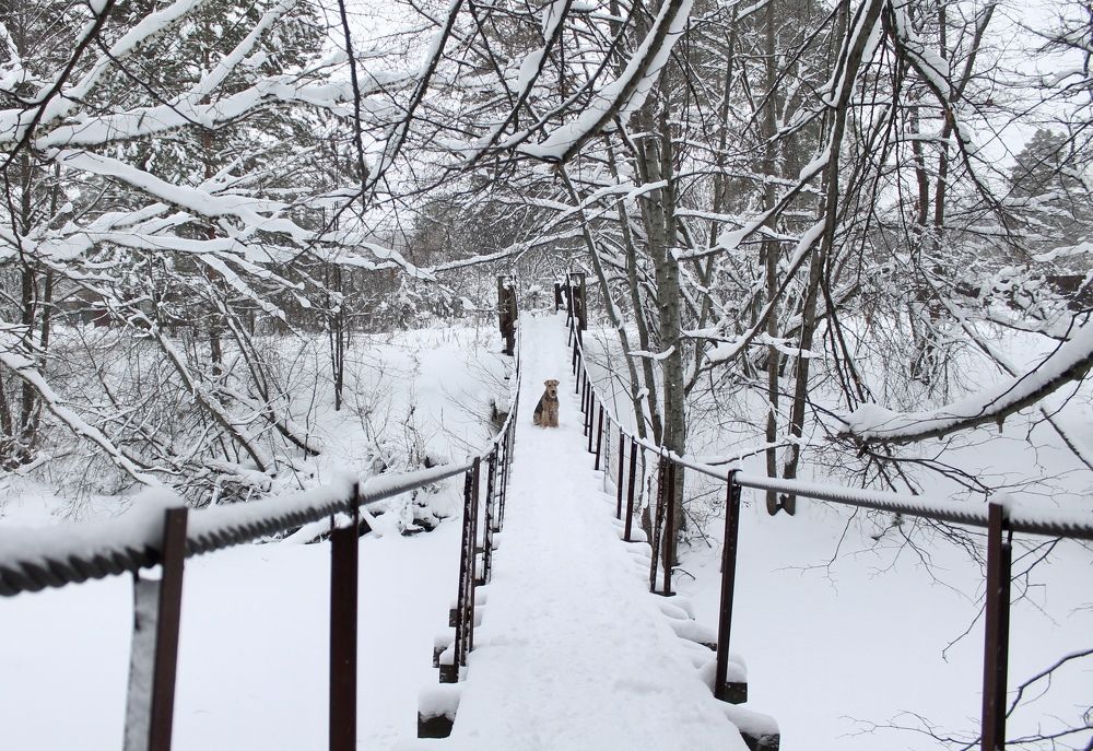 Photograph by Матвей Короткин