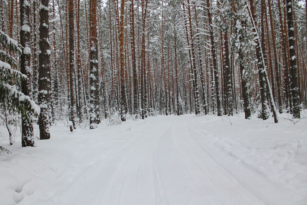 Photograph by Матвей Короткин