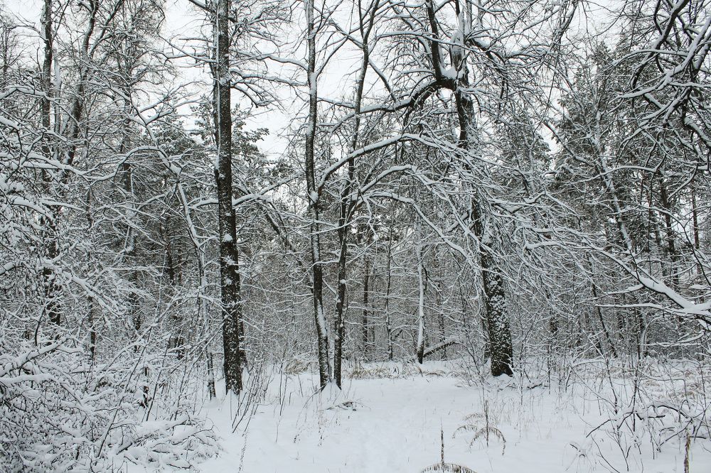 Photograph by Матвей Короткин