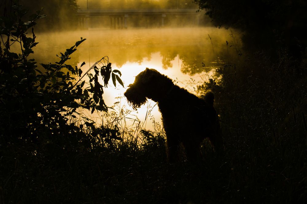 Photograph by Матвей Короткин