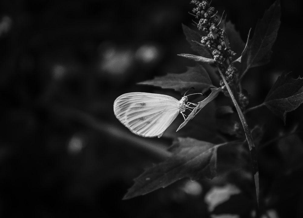 Photograph by Матвей Короткин