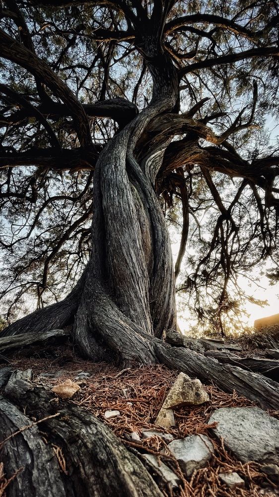 Photograph by Рудницкий Сергей