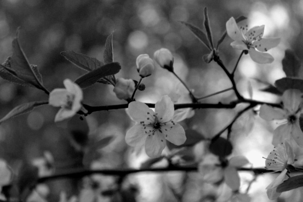 Photograph by Евгений Никонов