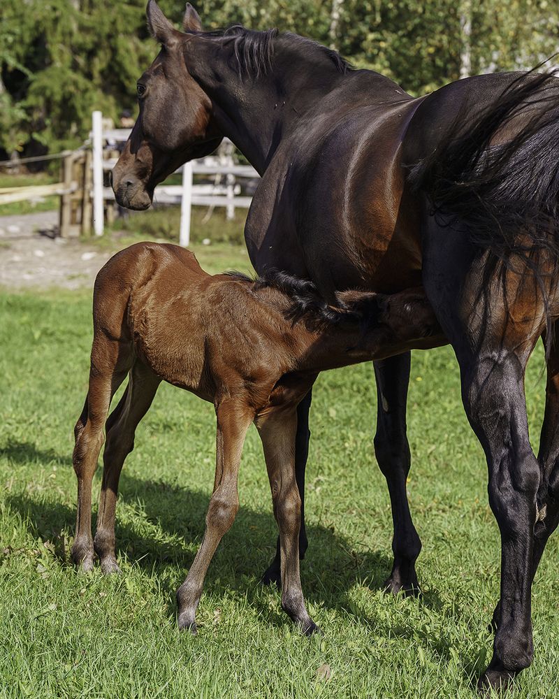 Photograph by Anna Sindikayeva