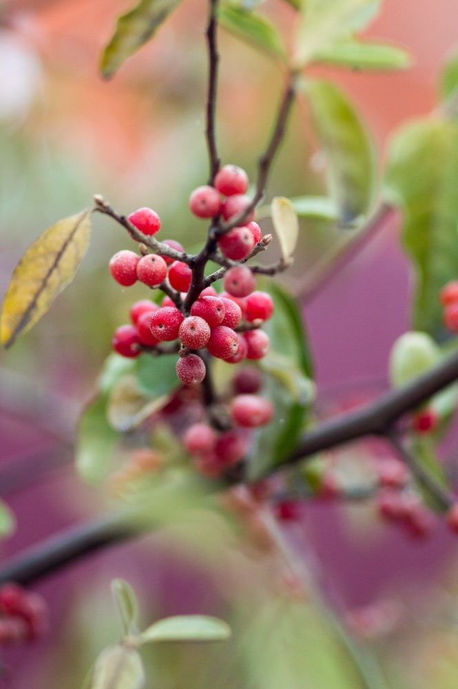 Photograph by Анастасия