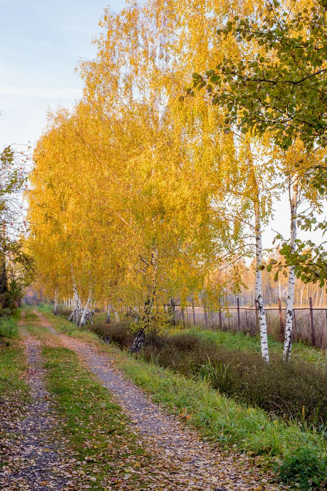 Photograph by Анна Захаренкова