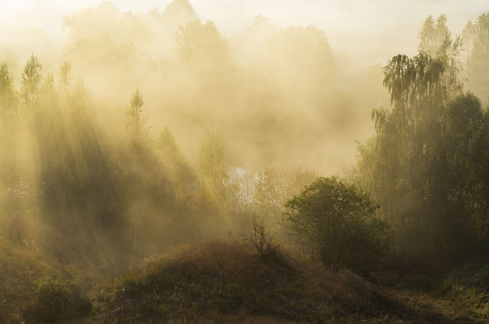 Photograph by Дмитрий Новоселов