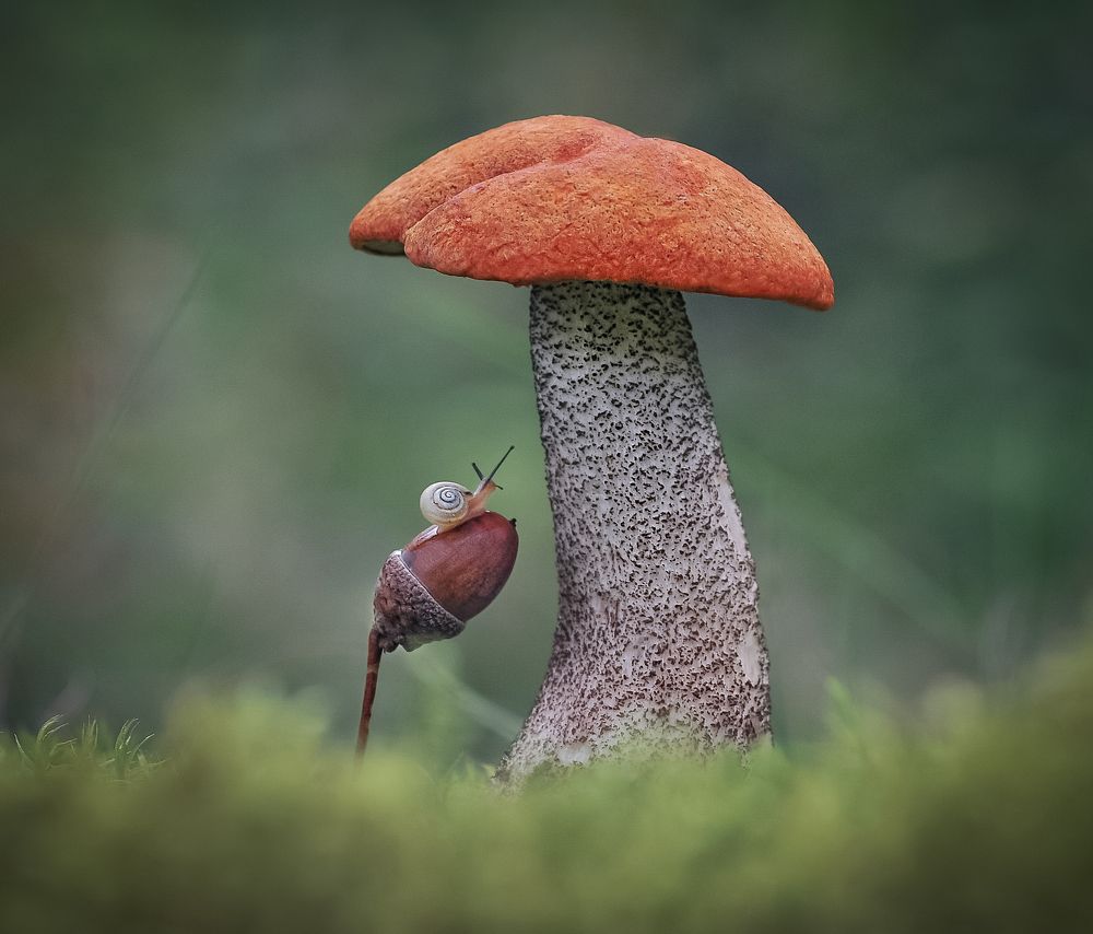 Photograph by Александр Гвоздь