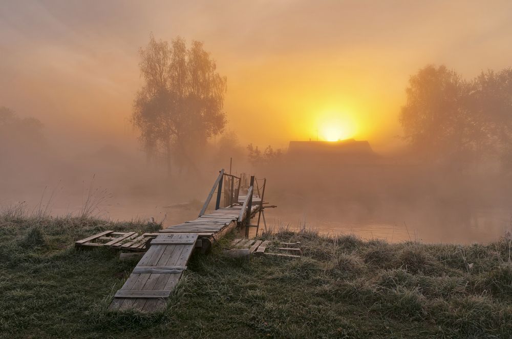 Photograph by Александр Гвоздь