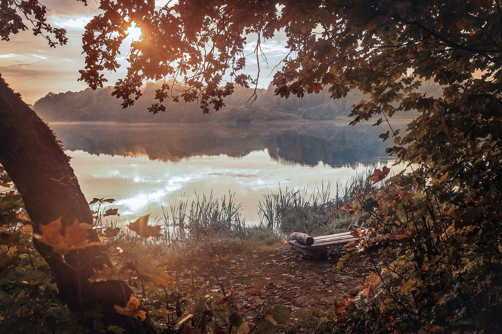 Photograph by Светлана Мнацаканянц